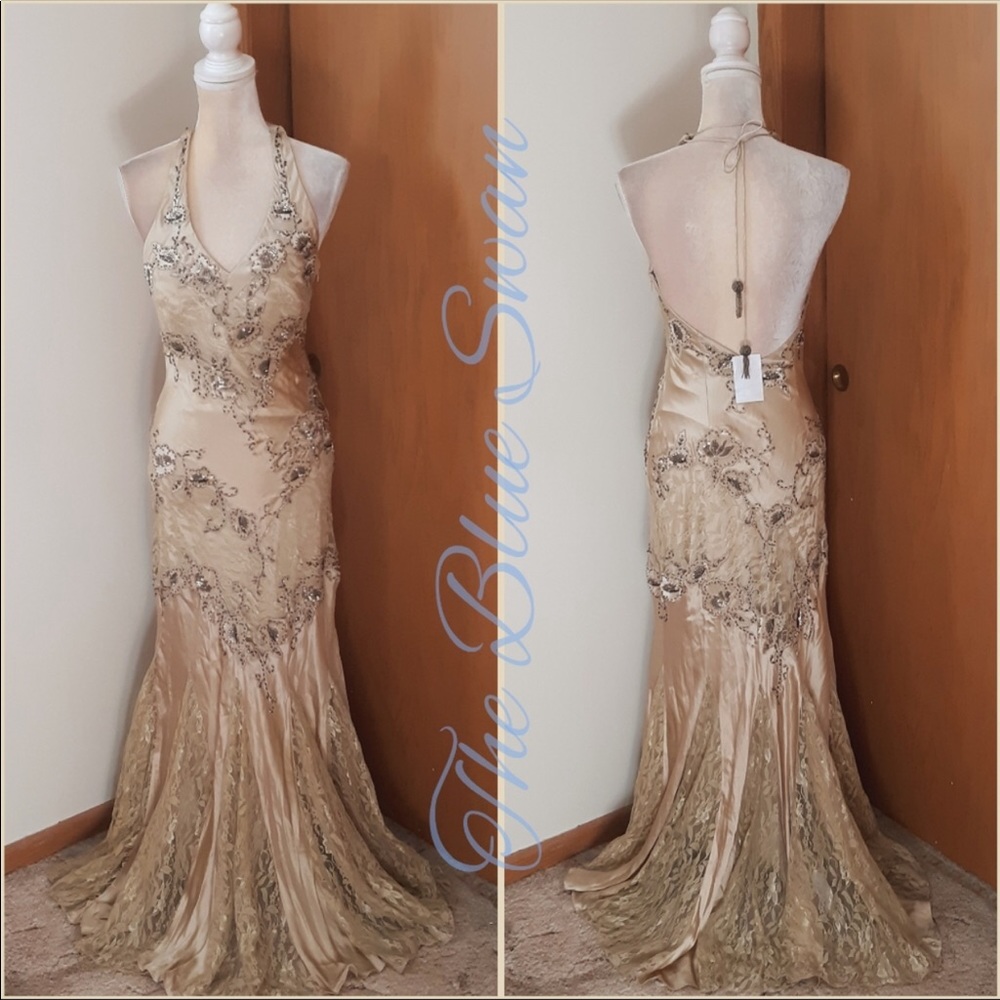 Elegant dress cashe dress